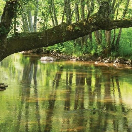 Willa A Casa Da Carmita Pedrogao Grande Zewnętrze zdjęcie